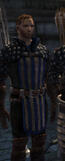 Anders - DA:O-A